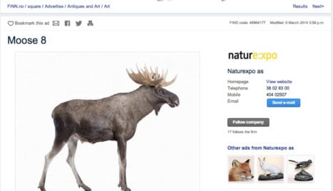 Man puts stuffed elk family on ‘Norway’s eBay’