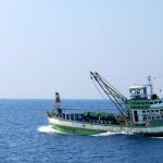Oil fund may profit from Thai prawn slavery