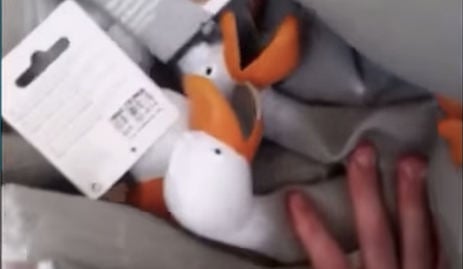 Norway ‘Duck Army’ video goes crazy viral