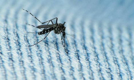 Norway issues new Zika advice for pregnant women
