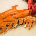 Norway nets record salmon sales in 2016