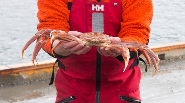 Norway and EU lock claws in crabbing dispute