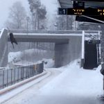 Oslo metro closed after elk falls from bridge