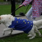 Pet travel after Brexit: Brits living in EU urged to visit vets