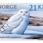This Norwegian stamp is 'the most beautiful in the world'