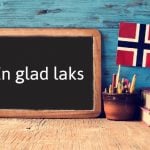 Norwegian expression of the day: En glad laks