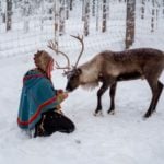 How Norway's wind farms are harming reindeer herders