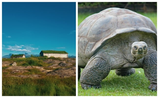 What you need to know about the ‘Norwegian Galapagos’ islands