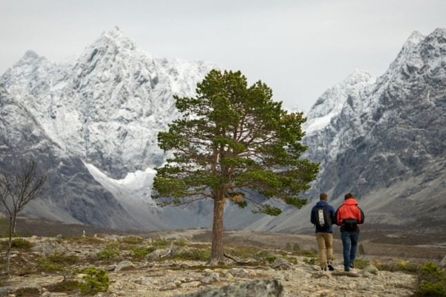 Pictured are the Lyngen Alps. 